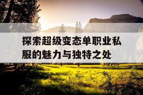 探索超级变态单职业私服的魅力与独特之处