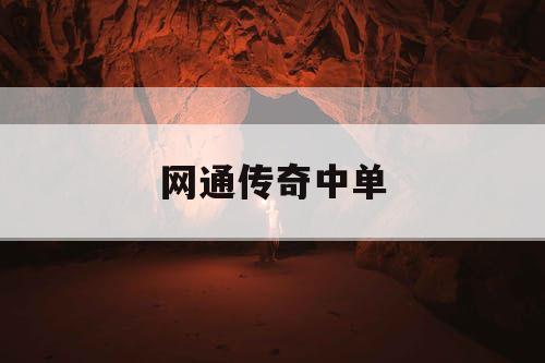 网通传奇中单