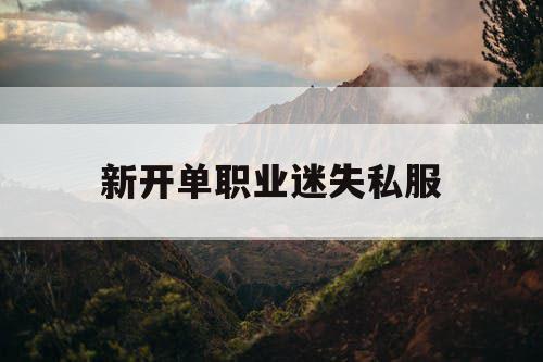 新开单职业迷失私服