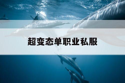 超变态单职业私服