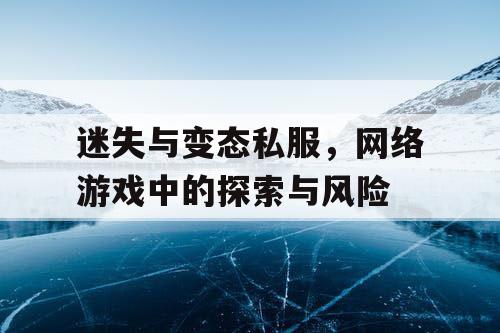 迷失与变态私服，网络游戏中的探索与风险