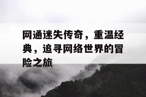 网通迷失传奇，重温经典，追寻网络世界的冒险之旅