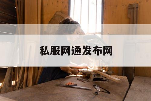 私服网通发布网