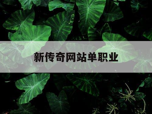 新传奇网站单职业
