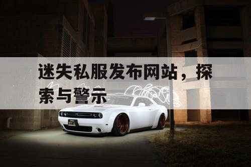 迷失私服发布网站，探索与警示