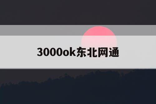3000ok东北网通