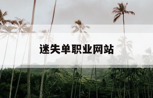 迷失单职业网站