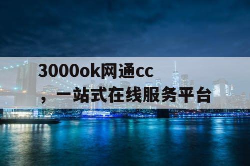 3000ok网通cc，一站式在线服务平台