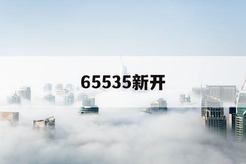 65535新开