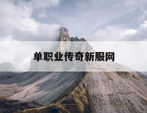 单职业传奇新服网