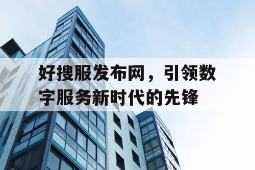 好搜服发布网，引领数字服务新时代的先锋