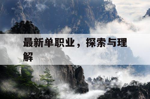 最新单职业，探索与理解