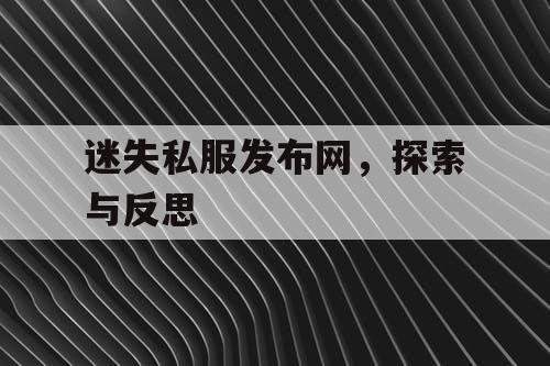 迷失私服发布网，探索与反思