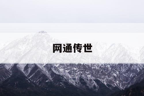 网通传世