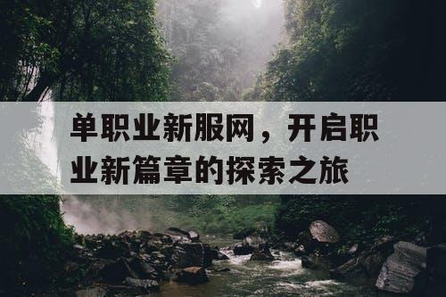 单职业新服网，开启职业新篇章的探索之旅