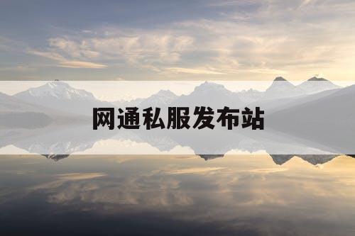 网通私服发布站