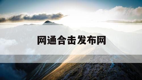 网通合击发布网