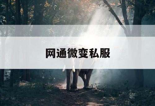 网通微变私服