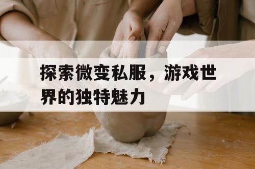 探索微变私服，游戏世界的独特魅力