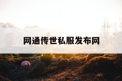 网通传世私服发布网