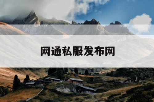 网通私服发布网