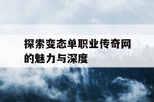 探索变态单职业传奇网的魅力与深度
