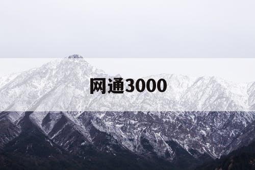 网通3000