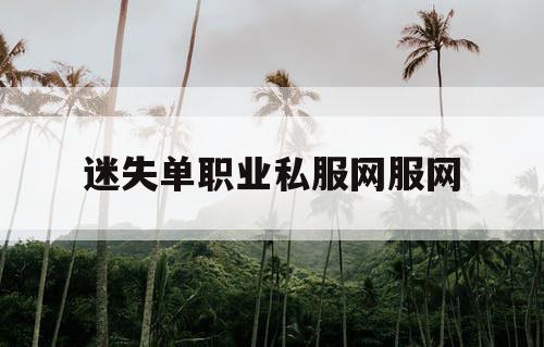 迷失单职业私服网服网