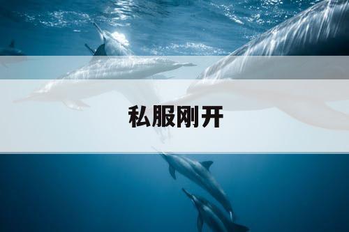 私服刚开