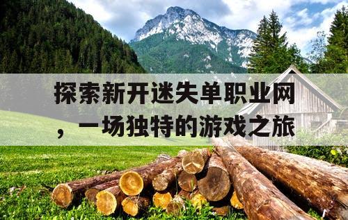 探索新开迷失单职业网，一场独特的游戏之旅