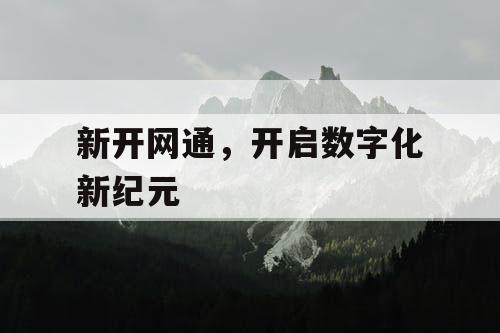新开网通，开启数字化新纪元