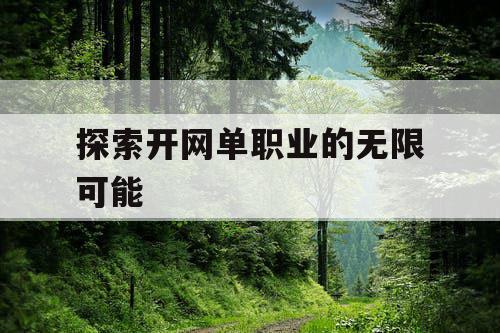 探索开网单职业的无限可能