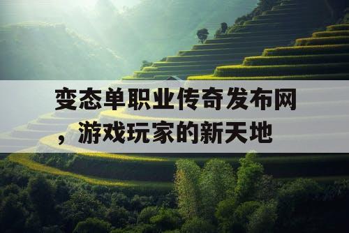 变态单职业传奇发布网，游戏玩家的新天地