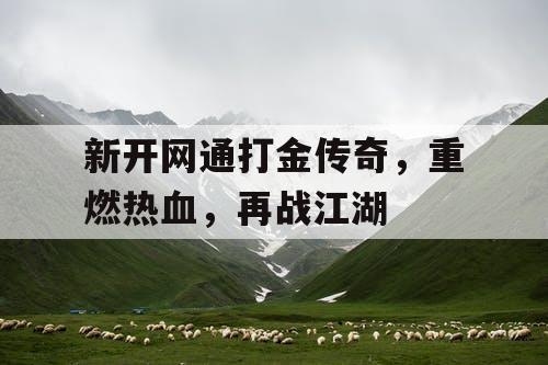 新开网通打金传奇，重燃热血，再战江湖