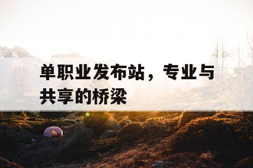 单职业发布站，专业与共享的桥梁