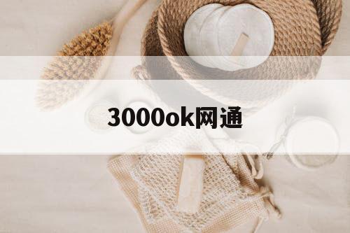 3000ok网通
