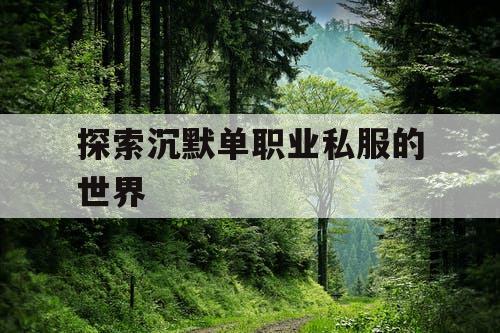 探索沉默单职业私服的世界