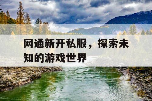 网通新开私服，探索未知的游戏世界