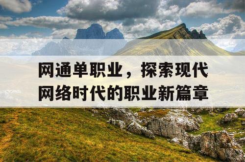 网通单职业，探索现代网络时代的职业新篇章