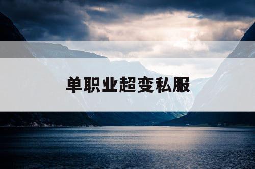 单职业超变私服