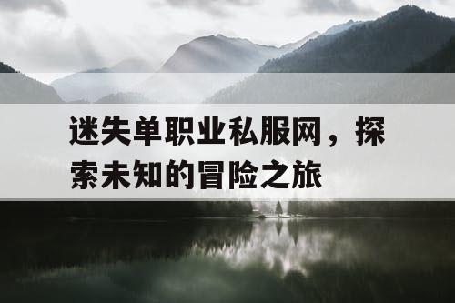 迷失单职业私服网，探索未知的冒险之旅