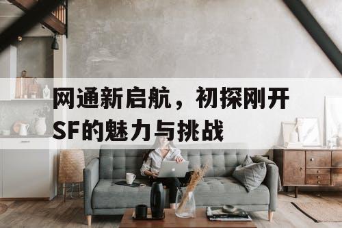 网通新启航，初探刚开SF的魅力与挑战