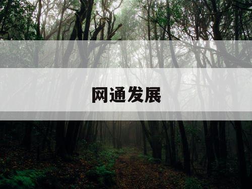 网通发展