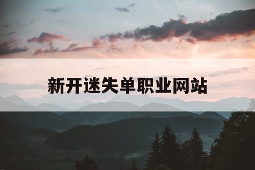 新开迷失单职业网站