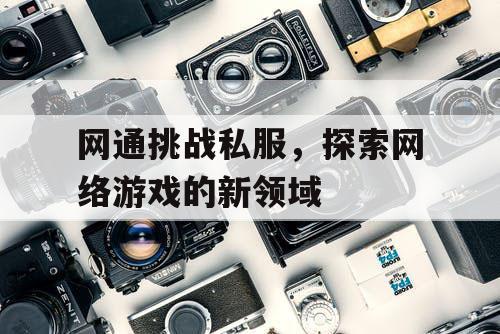 网通挑战私服，探索网络游戏的新领域