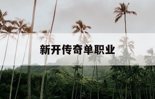 新开传奇单职业