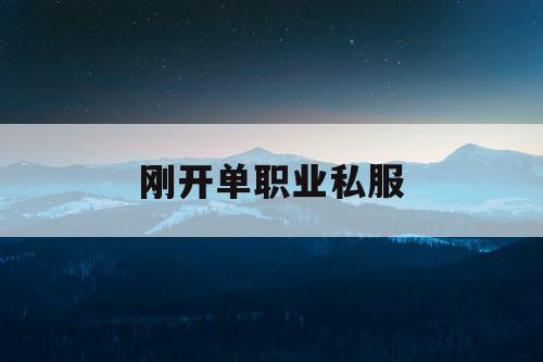 刚开单职业私服