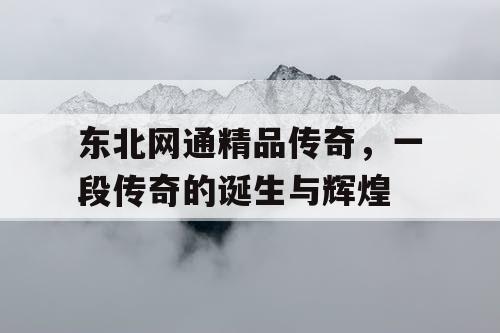 东北网通精品传奇，一段传奇的诞生与辉煌