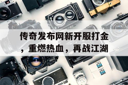 传奇发布网新开服打金，重燃热血，再战江湖
