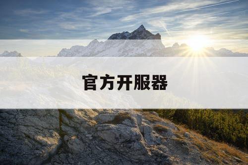 官方开服器